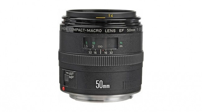 Canon-50mm-acro-lens-image